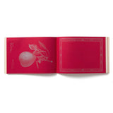 100 Writing & Crafting Papers of Fruit