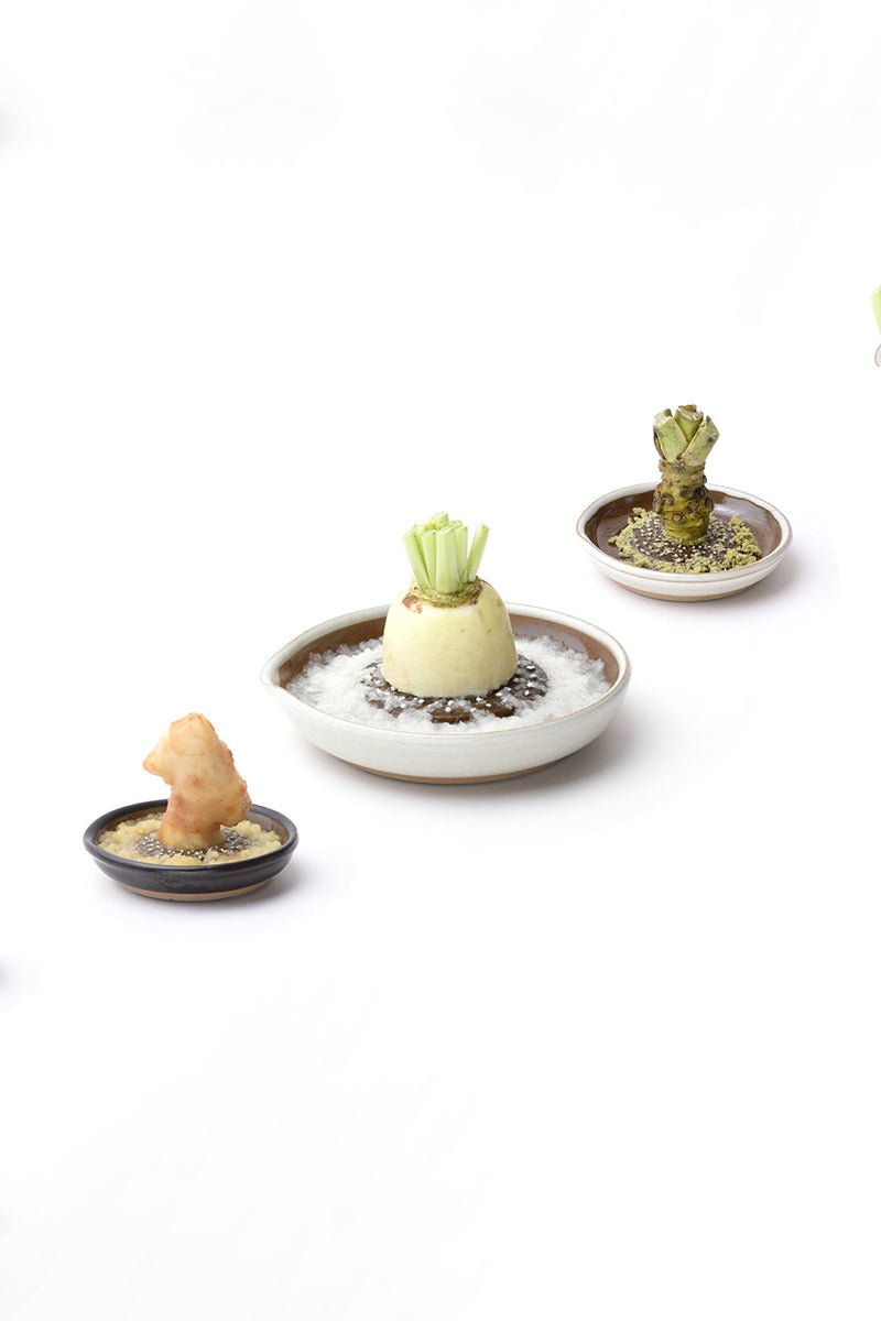 MUJUNMotoshige Suri Plate (Japanese Grater) | Large White