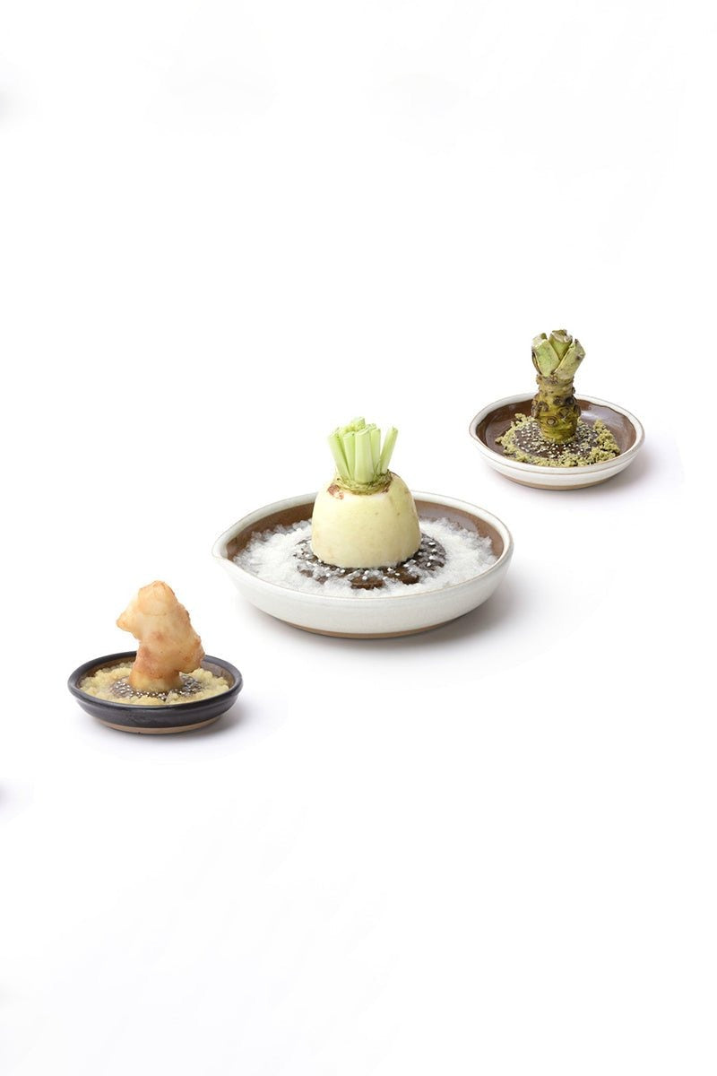 MUJUNMotoshige Suri Plate (Japanese Grater) | Small White