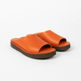 Richt | Kaki