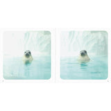 Roly-Poly Round Seals