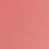 Stackable Steel Toolbox 19cm | Living Coral