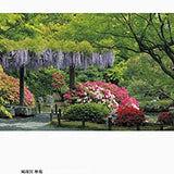 Japanese Gardens: Kyoto (English Japanese Bilingual)