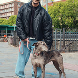 Dog's Best Friend: A Portrait of an Unbreakable Bond