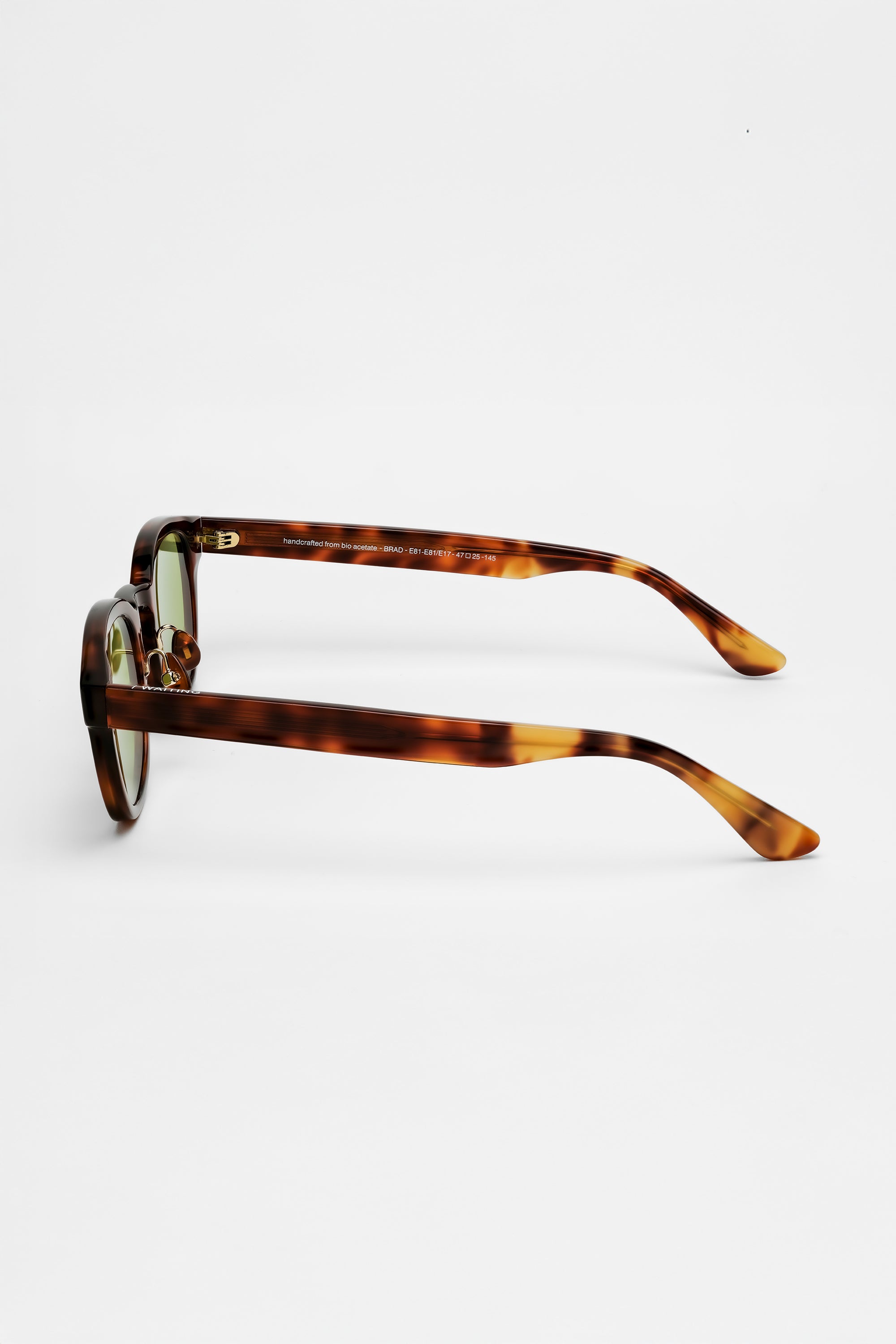 Brad Ecaille Blonde  [E81-E81/E17] | Verres Vert Profond