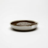 Motoshige Suri Plate (Japanese Grater) | Medium White