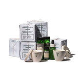 Scientific Candle | Carnation