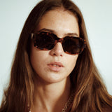Apollo Havana | Grey Solid Lens