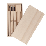 Japanese Teaspoon Carving Kit for Beginners